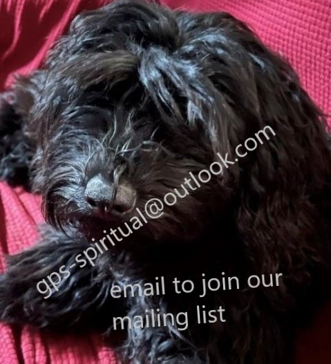 Save A Service Dog